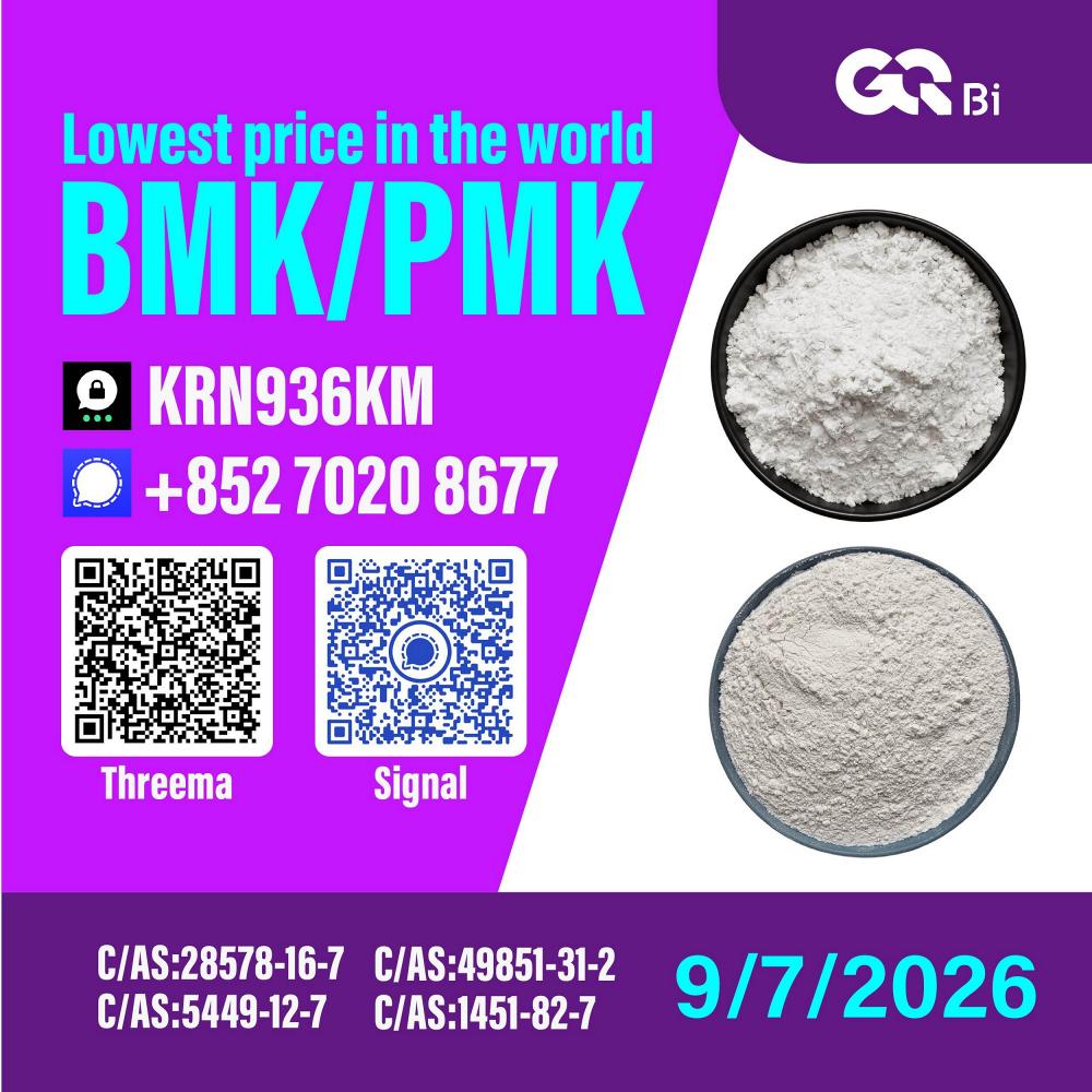 New PM.K 28578-16-7/ BM.K CAS:5449-12-7/ Chemical intermediates