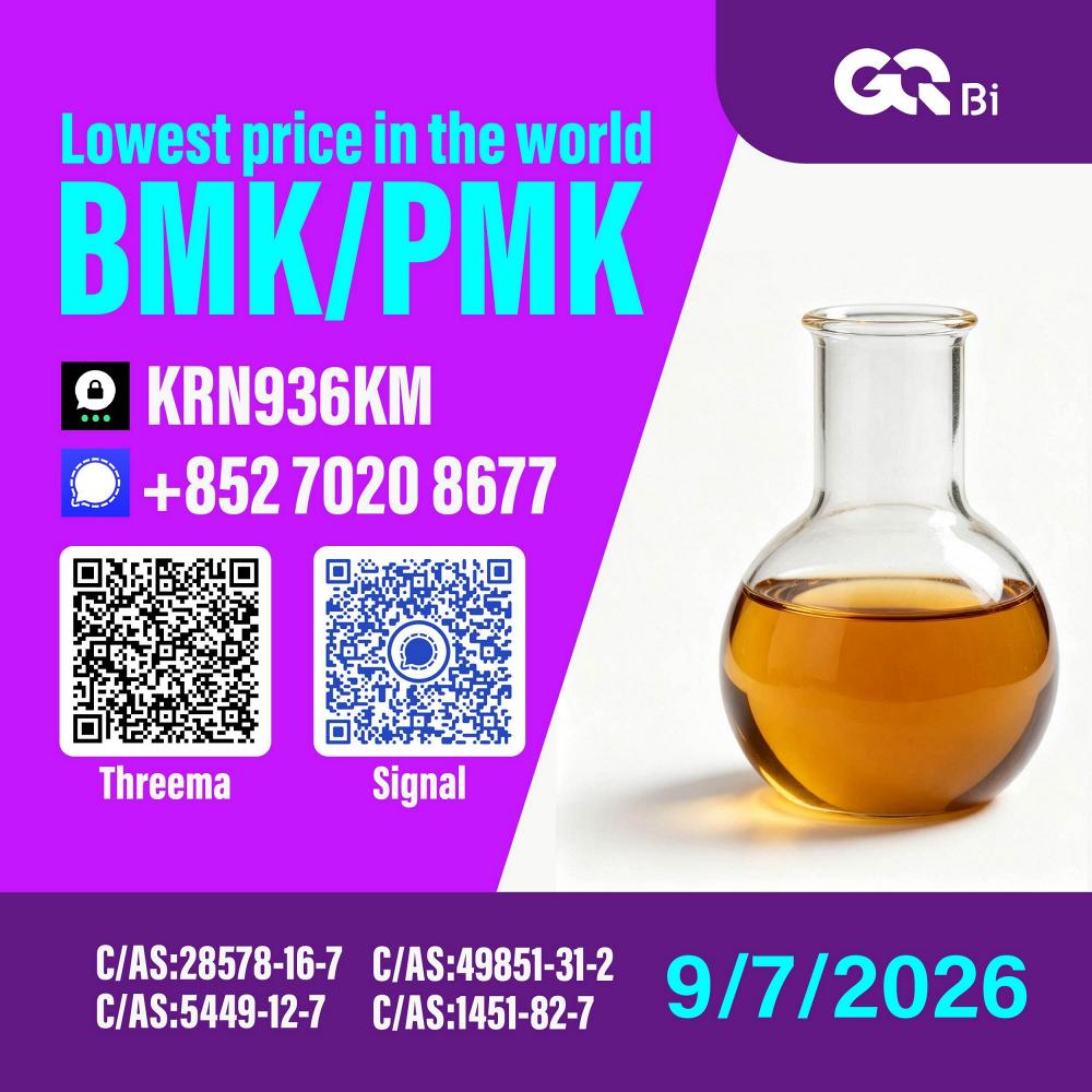 New PM.K 28578-16-7/ BM.K CAS:5449-12-7/ Competitive price