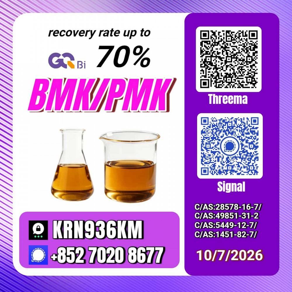 New PM.K 28578-16-7 / BM.K CAS:5449-12-7 / Consistent Quality Control