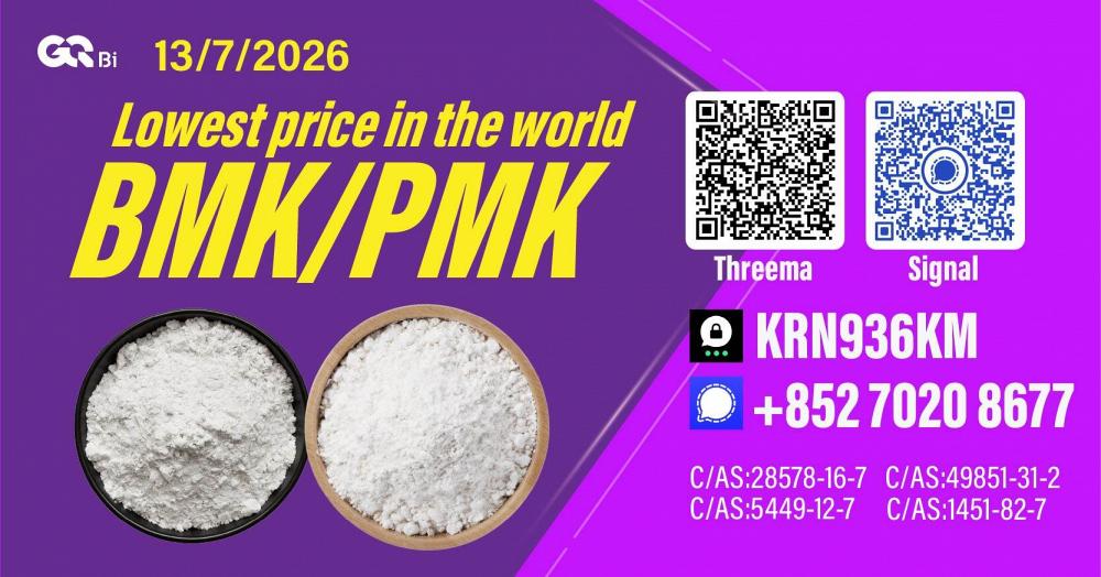 New PM.K 28578-16-7/ BM.K CAS:5449-12-7/ Industrial Grade Chemical