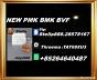 New PM.K 28578-16-7/ BM.K CAS:5449-12-7/ End-to-End Service