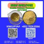 Collective progress BMK CAS 5449-12-7 strengthens output