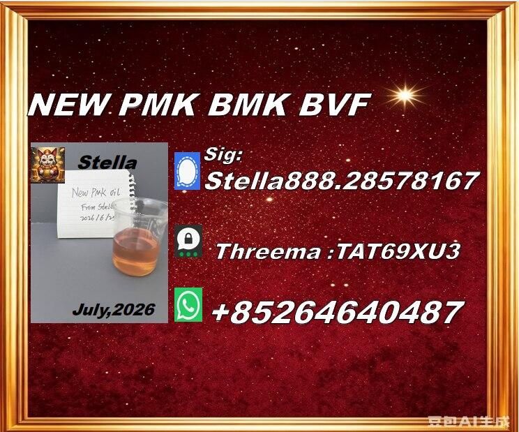 New PM.K 28578-16-7/ BM.K CAS:5449-12-7/ Custom Synthesis Material