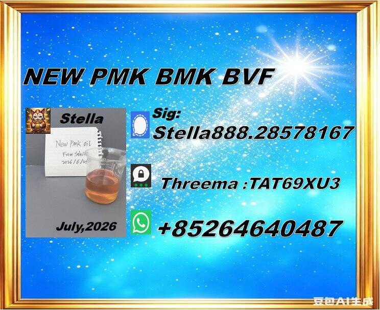 New PM.K 28578-16-7/ BM.K CAS:5449-12-7/ Premium Chemical Raw Material 