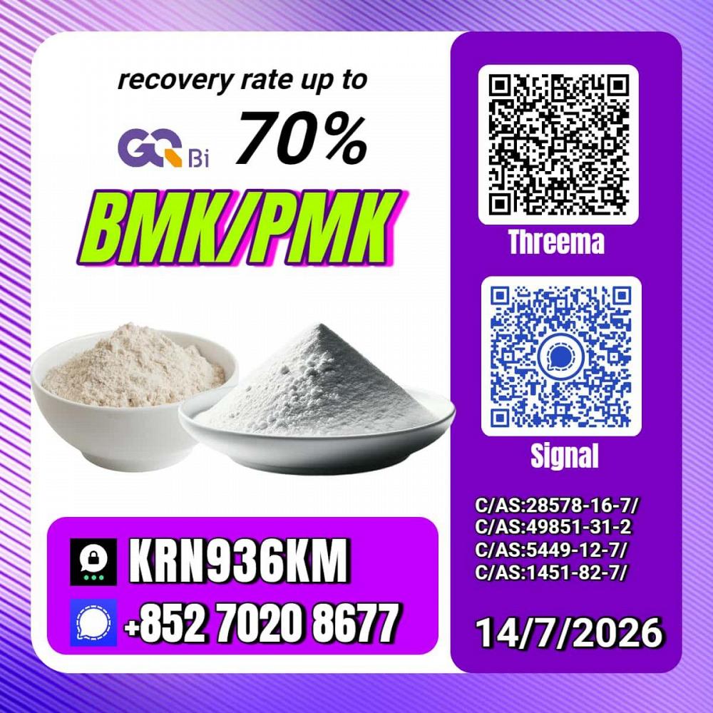 New PM.K 28578-16-7/ BM.K C.AS:5449-12-7/ Chemical Process Material