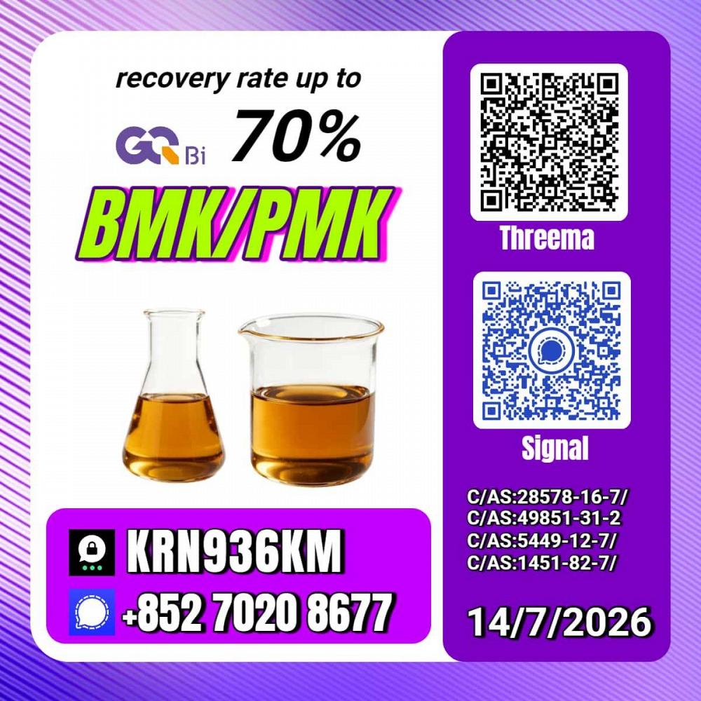 New PM.K 28578-16-7/ BM.K C.AS:5449-12-7/ Organic Synthesis Building Block