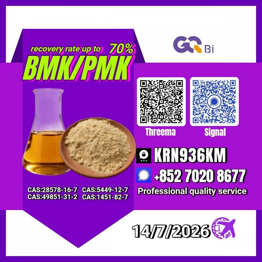 New PM.K 28578-16-7/ BM.K C.AS:5449-12-7/ High Efficiency Chemical Intermediate