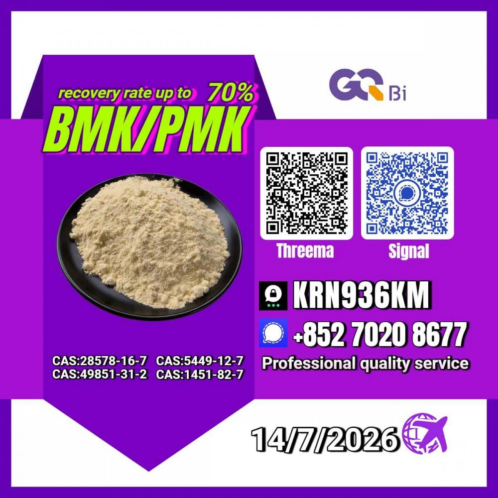 New PM.K 28578-16-7/ BM.K C.AS:5449-12-7/ Process Development Chemical