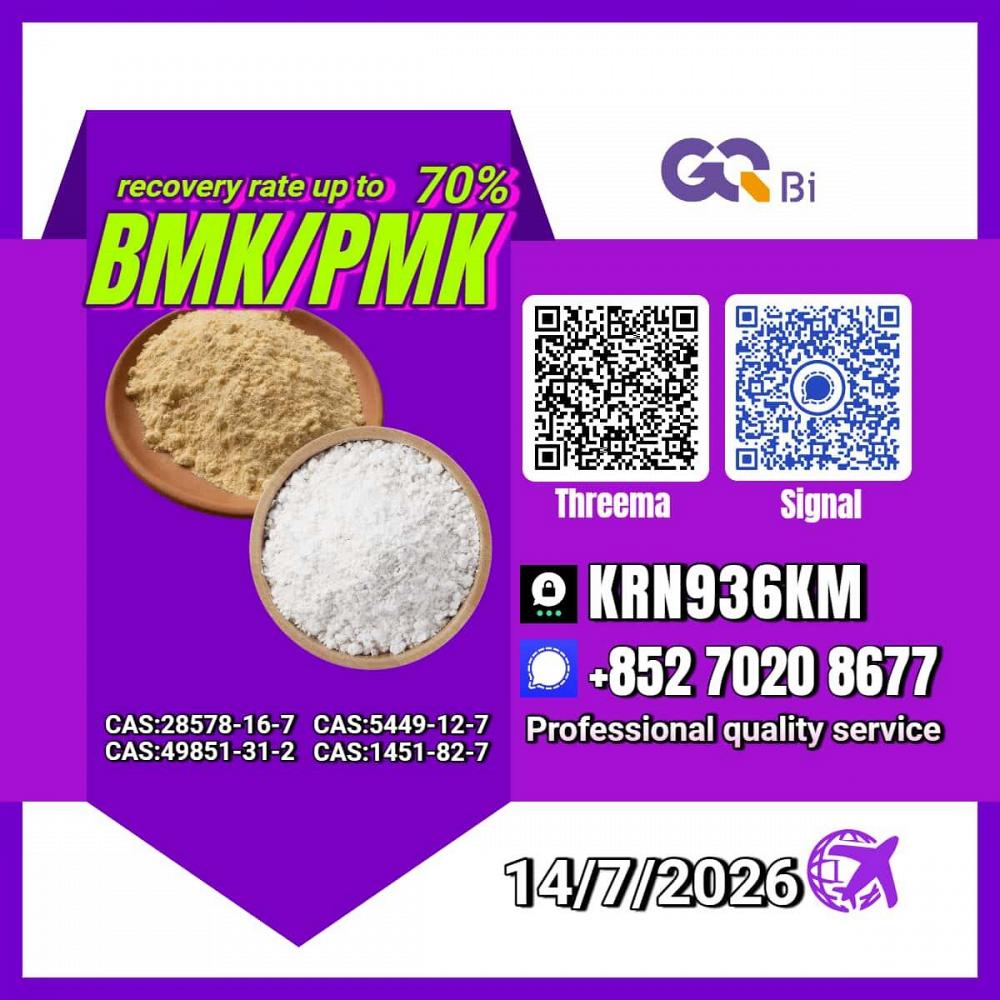 New PM.K 28578-16-7/ BM.K C.AS:5449-12-7/ Industrial Organic Compound