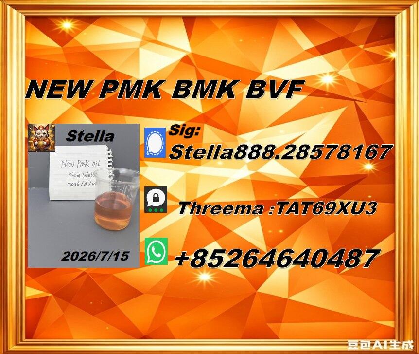 Global-Distribution New PM.K 28578-16-7/ BM.K CAS:5449-12-7/