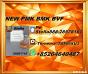 Global-Distribution New PM.K 28578-16-7/ BM.K CAS:5449-12-7/