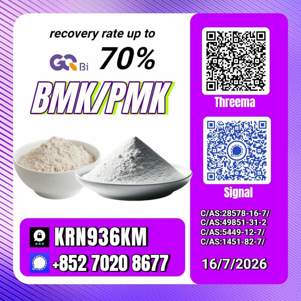 New PM.K 28578-16-7/ BM.K C.AS:5449-12-7/ High Grade Chemical Intermediate