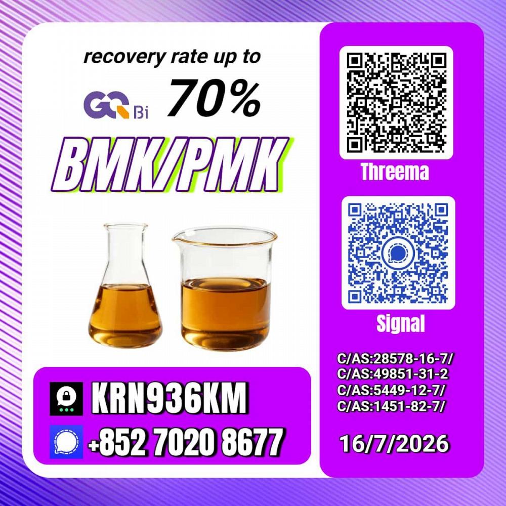 New PM.K 28578-16-7/ BM.K C.AS:5449-12-7/ Industrial Organic Material