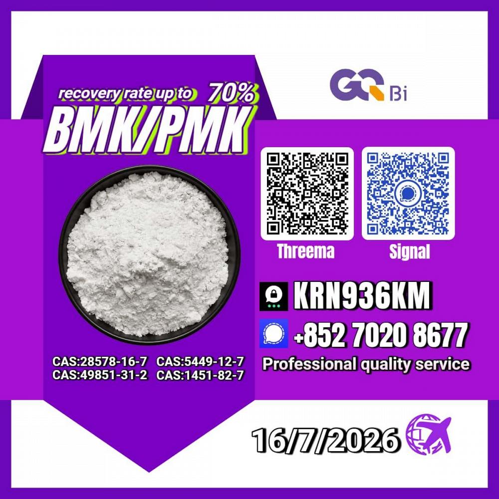 New PM.K 28578-16-7/ BM.K C.AS:5449-12-7/ Chemical Production Intermediate