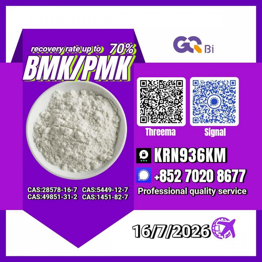 New PM.K 28578-16-7/ BM.K C.AS:5449-12-7/ Specialty Chemical Ingredient