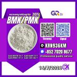New PM.K 28578-16-7/ BM.K C.AS:5449-12-7/ Specialty Chemical Ingredient