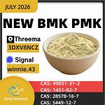 BMK Glycidic Acid Sodium Salt CAS 5449-12-7 | Technical Profile