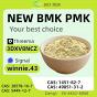 PMK Glycidate (CAS No. 28578-16-7) – Chemical Reference Overview