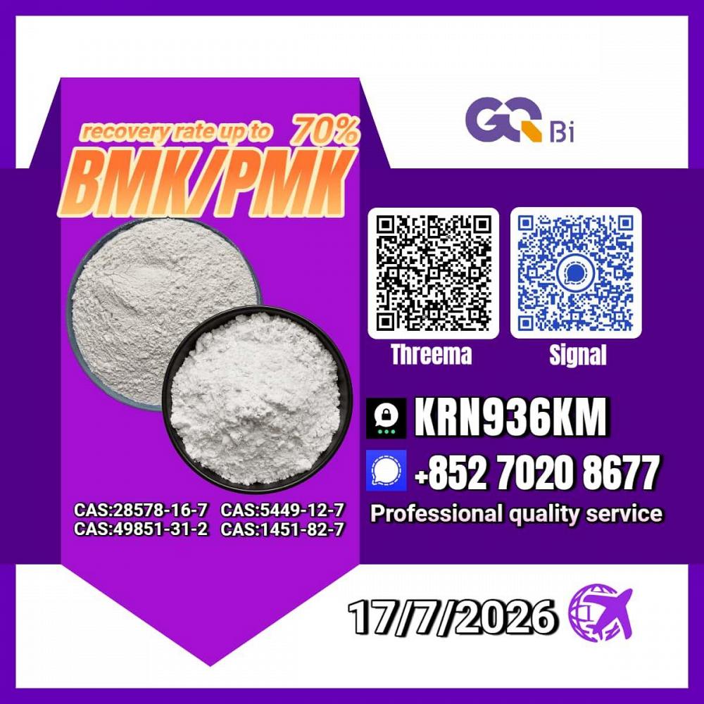 New PM.K 28578-16-7/ BM.K C.AS:5449-12-7/ Chemical Development Material