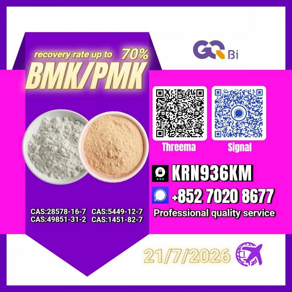 Stable Supply, Better Price New PM.K 28578-16-7/ BM.K C.AS:5449-12-7/