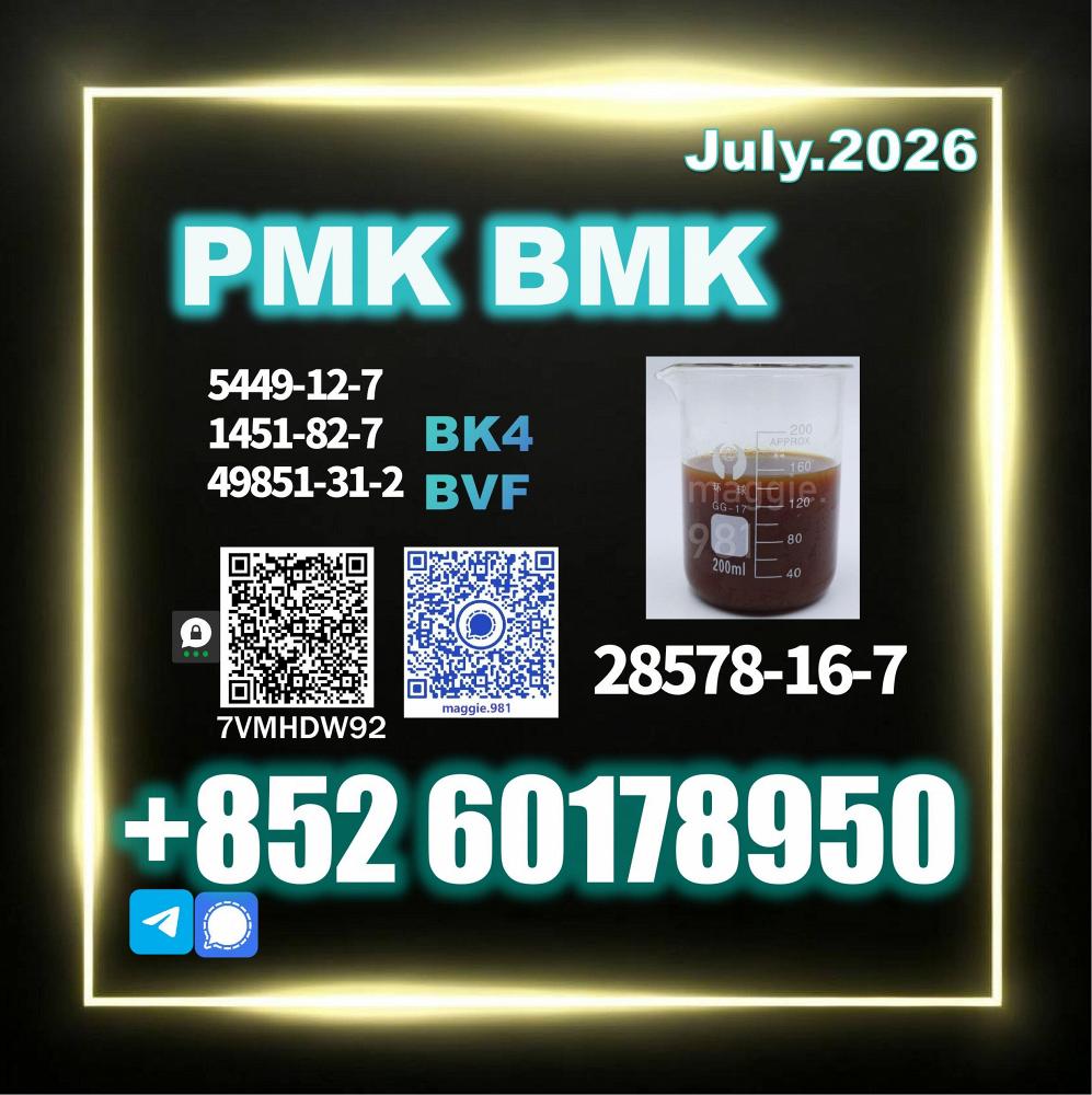 CAS 28578-16-7 New PM.K B.MK 5449-12-7 direct supply