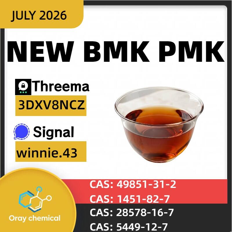 CAS 5449-12-7 BMK Sodium Salt White Powder Supply