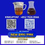 Progressive adaptation PMK Oil CAS 28578-16-7