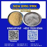 Logical association PMK Oil 28578-16-7 arranged coherently