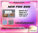 New 28578-16-7/ BM.K 5449-12-7/Chemical Import Export Support 