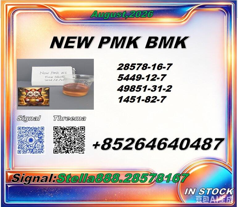 New P.M.K 28578-16-7/ B.M.K C.AS:5449-12-7/ Quality Chemical Solution 