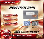 New P.M.K 28578-16-7/ B.M.K C.AS:5449-12-7/ Specialty Chemical Ingredient