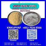 Foreign market growth PMK Oil 28578-16-7 increasing exposure