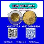Regular verification BMK CAS 5449-12-7 reviewed continuously