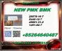 New 28578-16-7/ BM.K 5449-12-7/Professional Chemical Logistics 