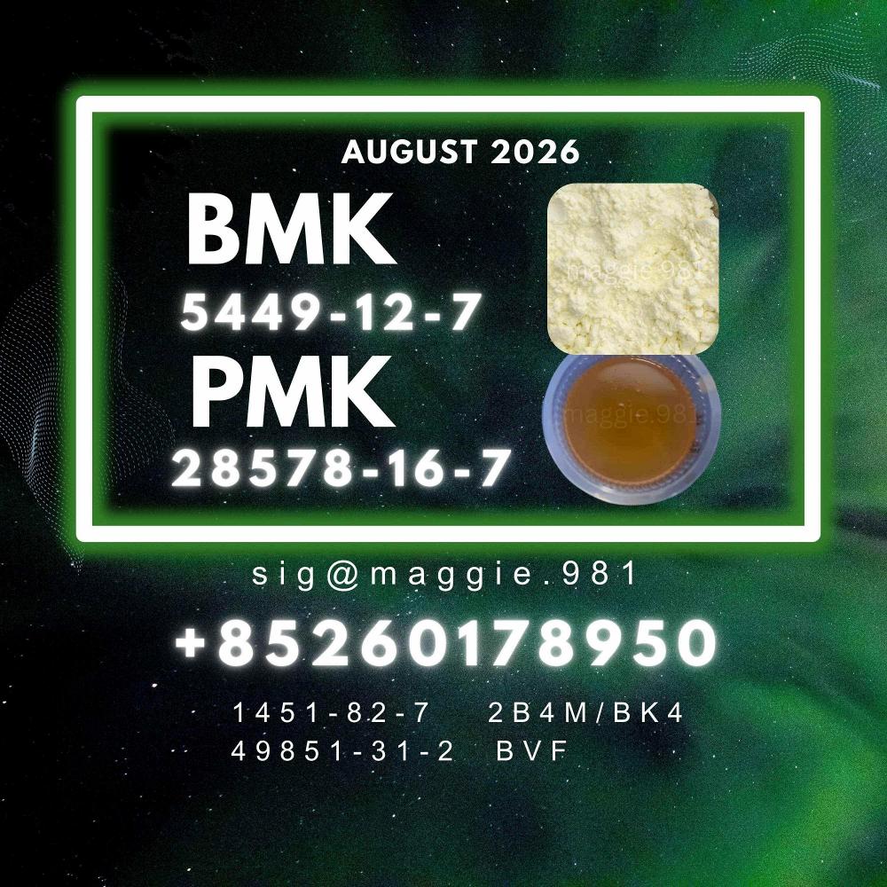 New BMK CAS 5449-12-7,1451-82-7 Trusted Source