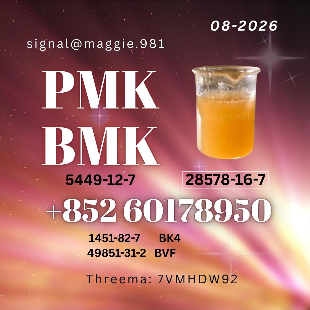 New PMK CAS 28578-16-7 BMK tracking support