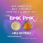 CAS 28578-16-7 PMK Orders Open for Bulk Buyers - Раздел: Медицинские товары, фармацевтическая продукция