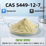BMK Sodium Salt (CAS 5449-12-7) - 99.9% Pure Glycidic Acid