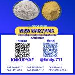 PMK Oil 28578-16-7 serving worldwide commerce /13605-48-6