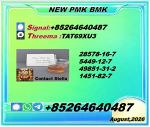 New CA.S P.M.K 28578-16-7/ CAS 5449-12-7/ Quality Chemical Solution 