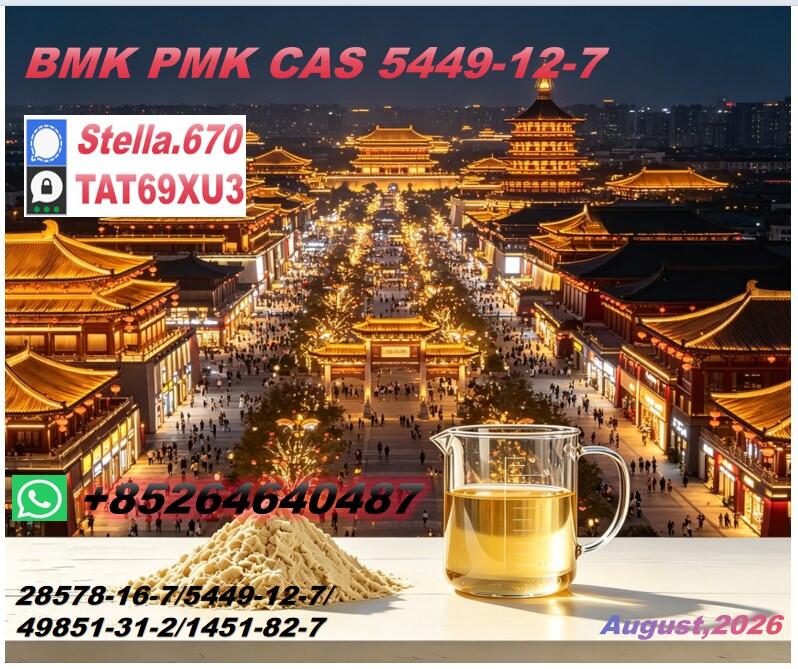 New P OIL 28578-16-7/ NEW B CAS:5449-12-7/ Premium Chemical Raw Material