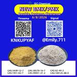 BMK 5449-12-7 circulating through container programs /13605-48-6