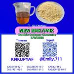CAS 28578-16-7 inviting cooperation proposals /13605-48-6