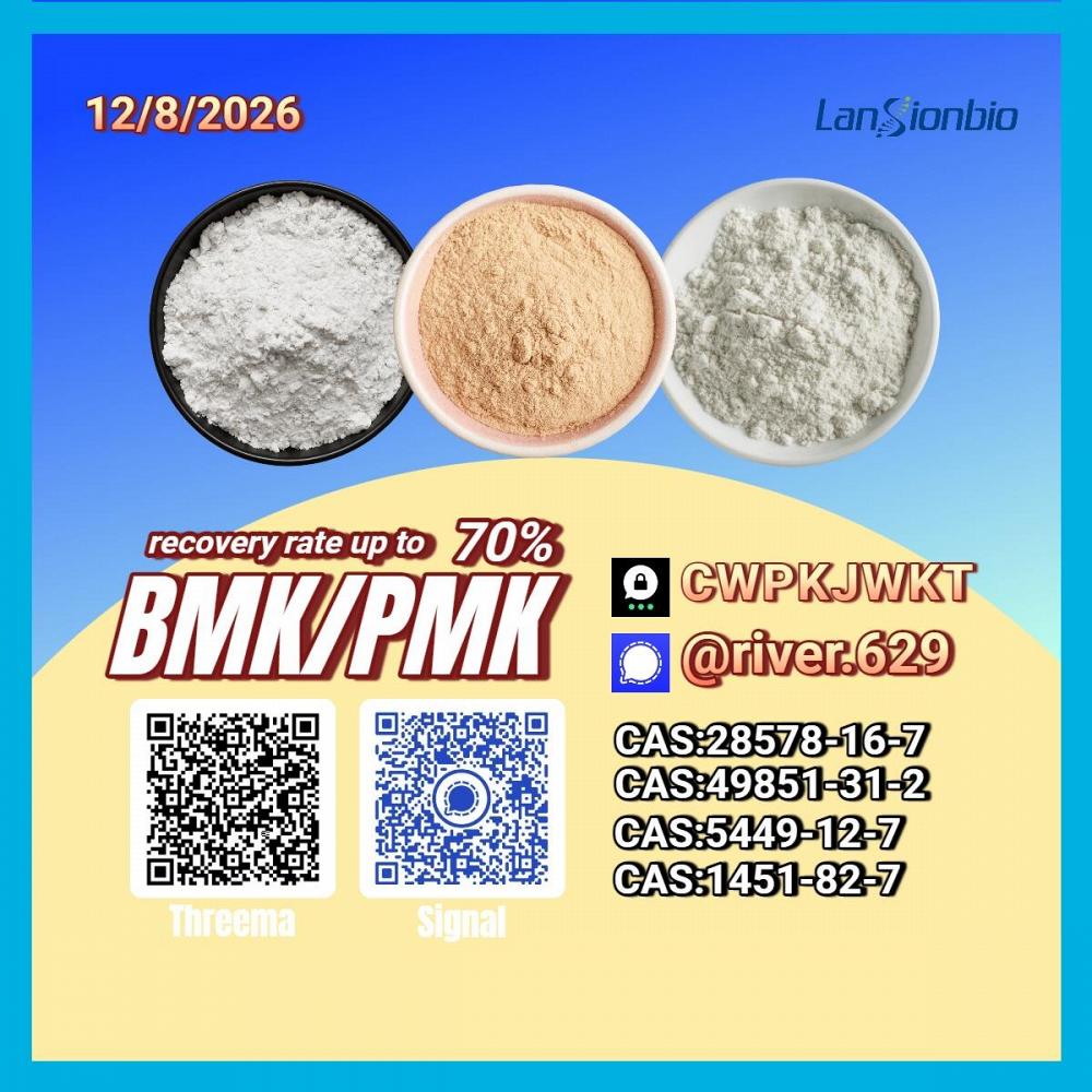 PM.K CA.S:28578-16-7/ BM.K 5449-12-7/ international chemical sourcing channels