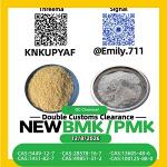 PMK Oil CAS 28578-16-7 Specialized Industrial Resources /13605-48-6
