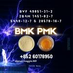New BMK CAS 5449-12-7 PMK Trusted factory source