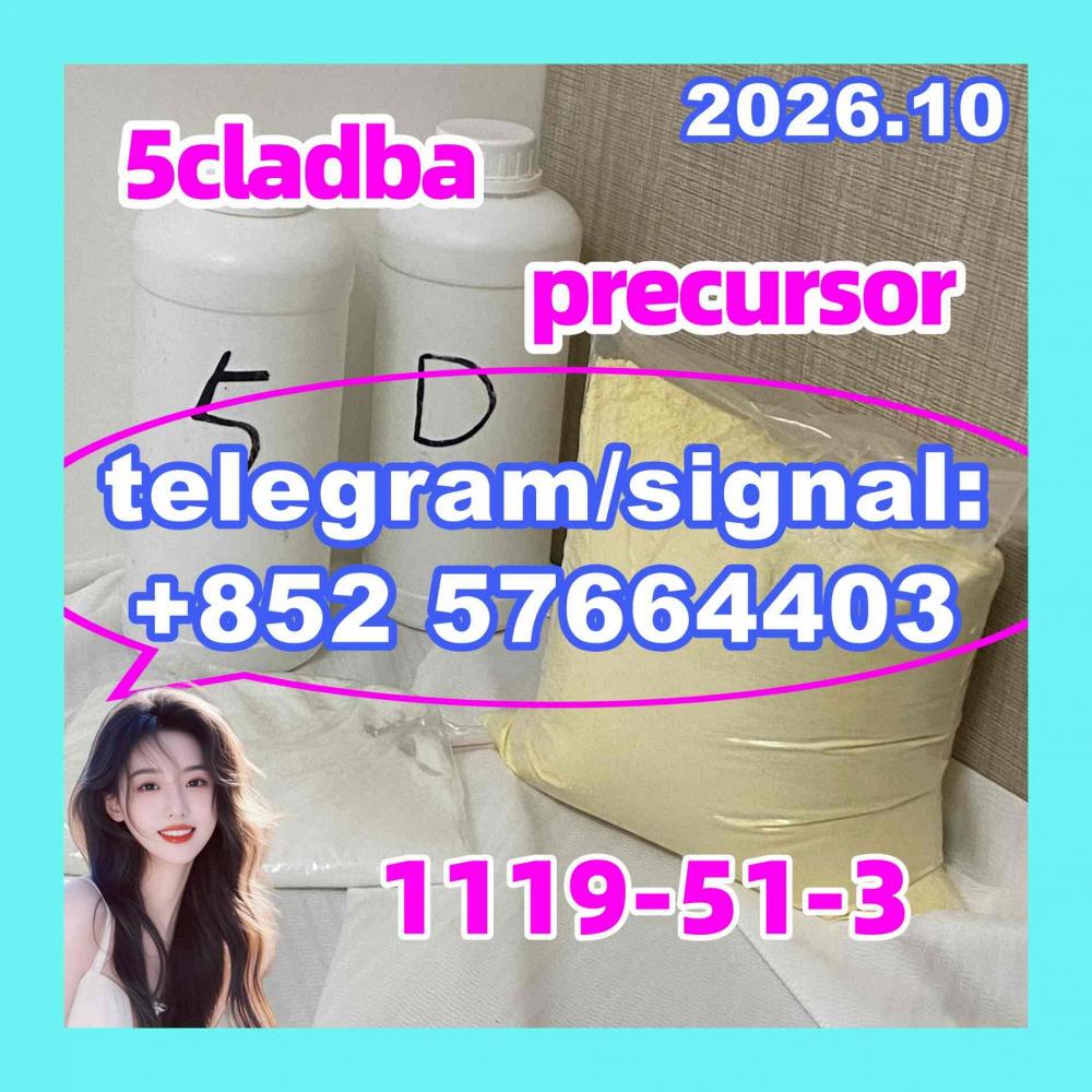 Pink 5CLADBA Powder and Kit sets