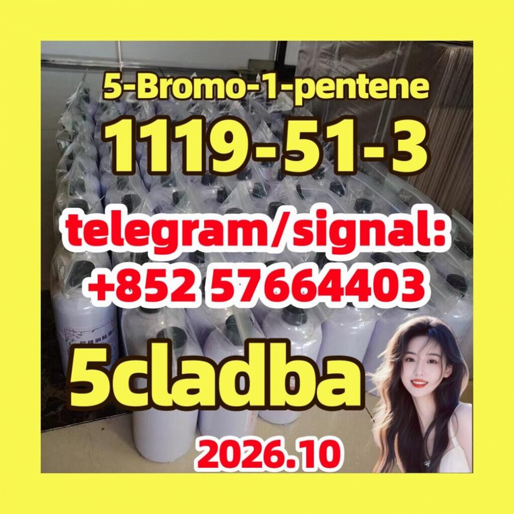 5-Bromo-1-Pentene cas 1119-51-3 99%
