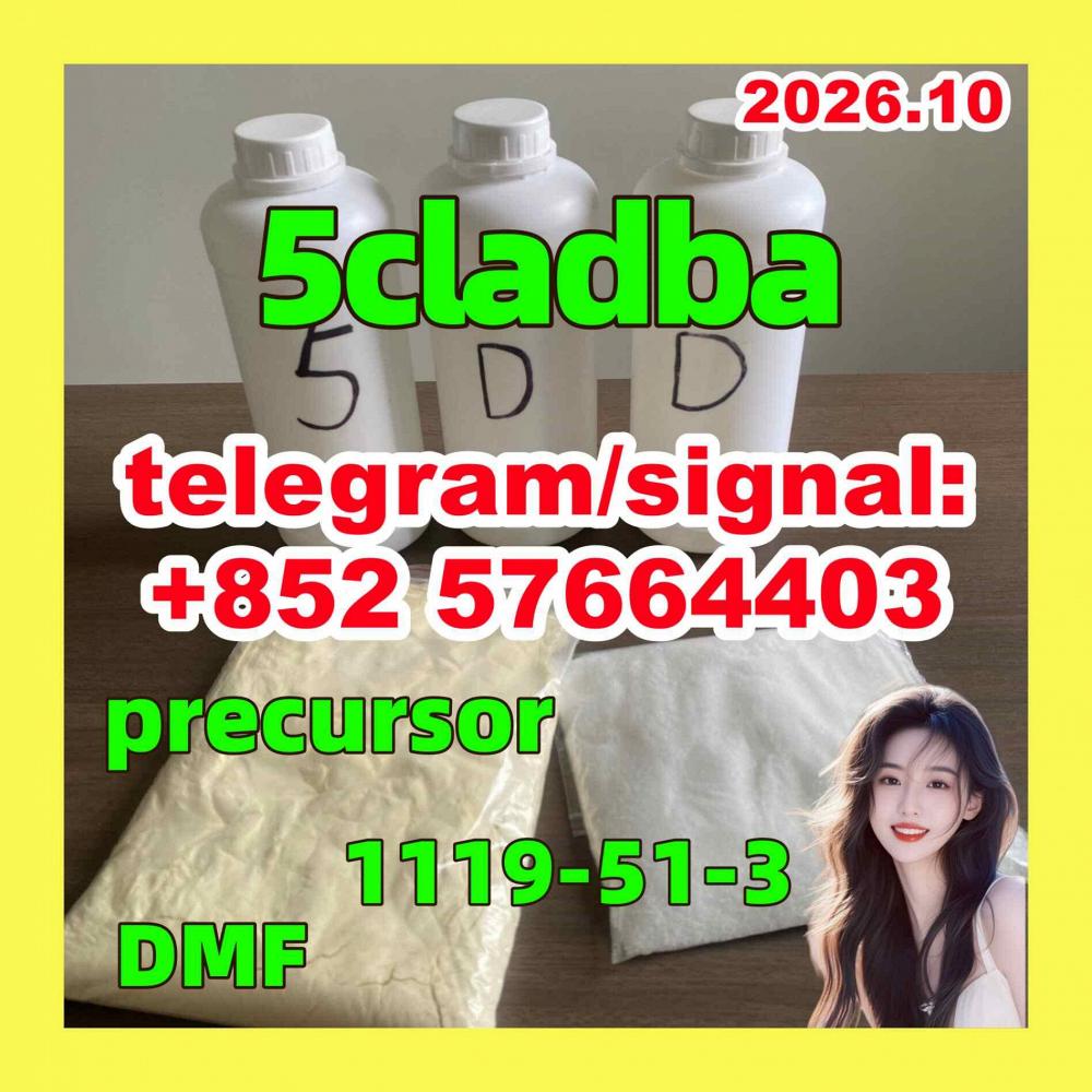 5CLADBA 5CL-ADB-A Strong effect -1119-51-3 5-Bromo-1-pentene
