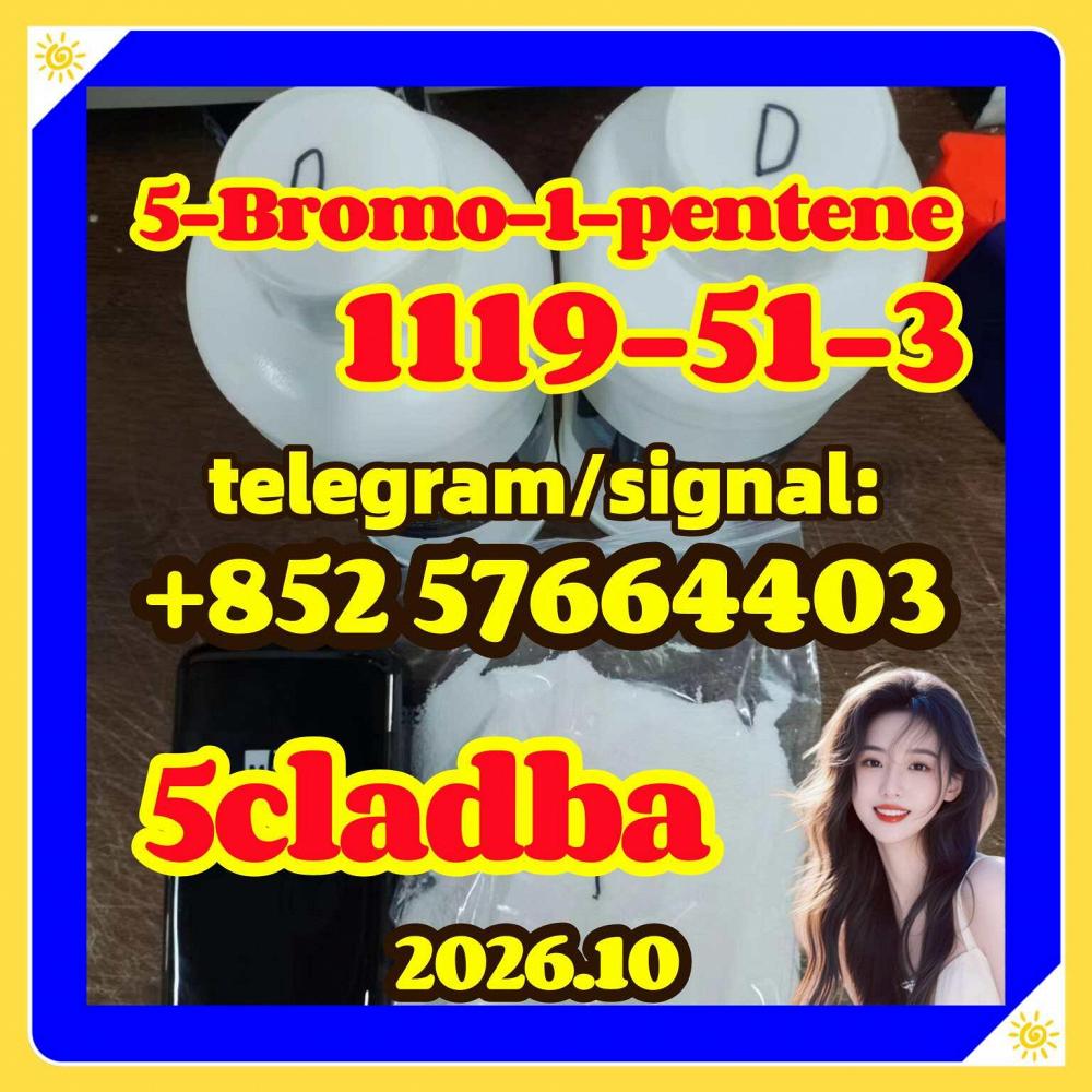 1119-51-3 | 5-Bromo-1-pentene